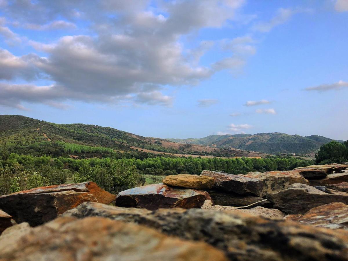 مبيت وإفطار تويلادا Agriturismo E Antica Fattoria Matteu المظهر الخارجي الصورة