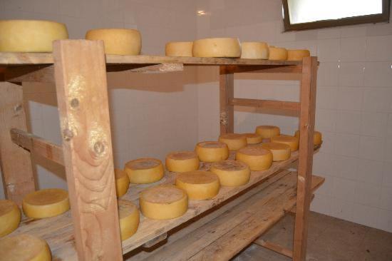 مبيت وإفطار تويلادا Agriturismo E Antica Fattoria Matteu المظهر الخارجي الصورة